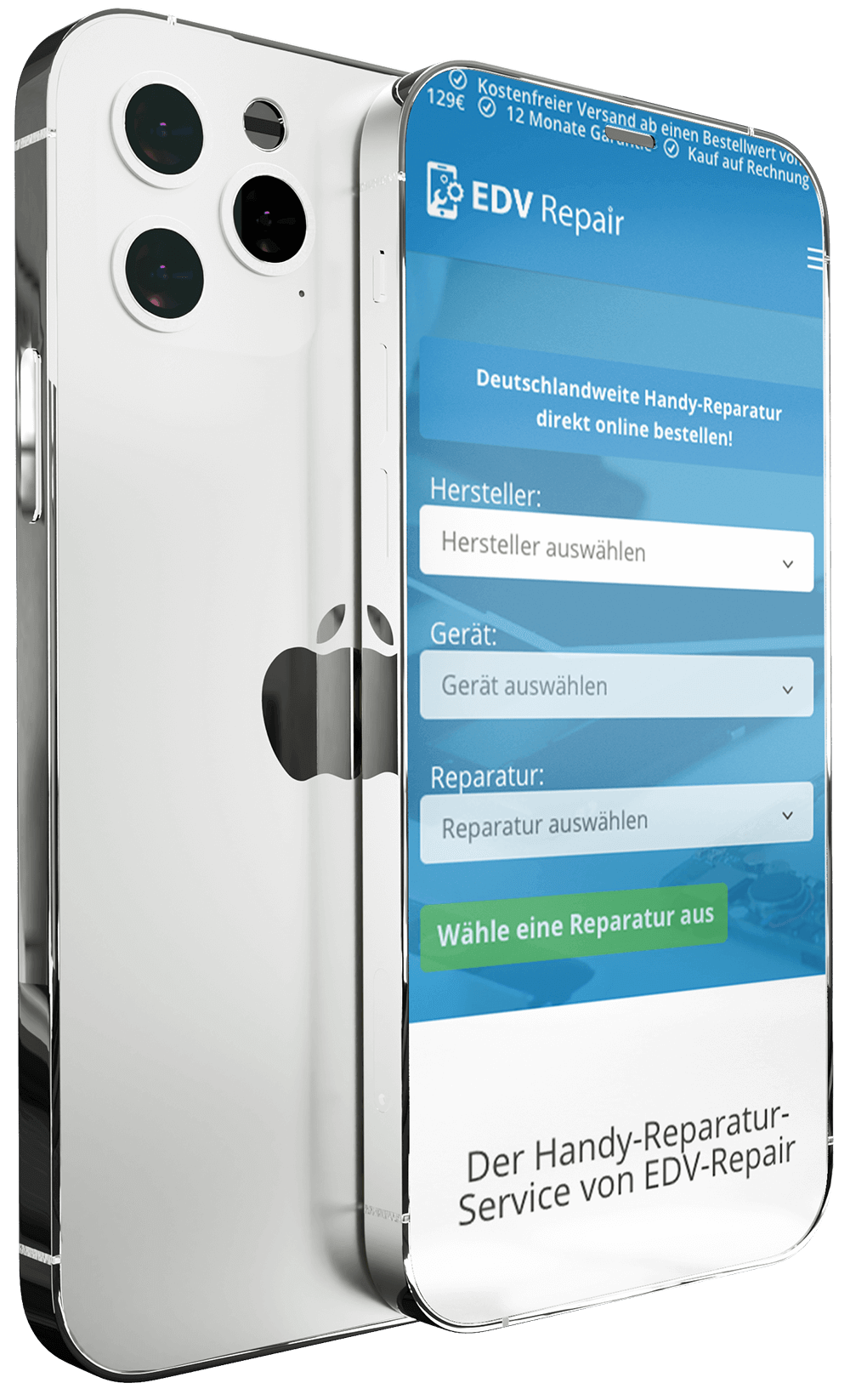 display-reparatur-edv-repair